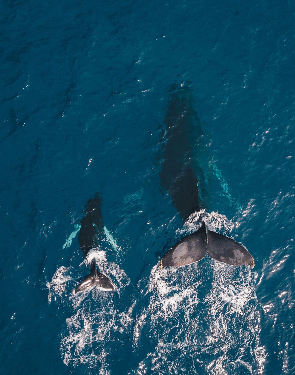 La Réunion, une île à sensations