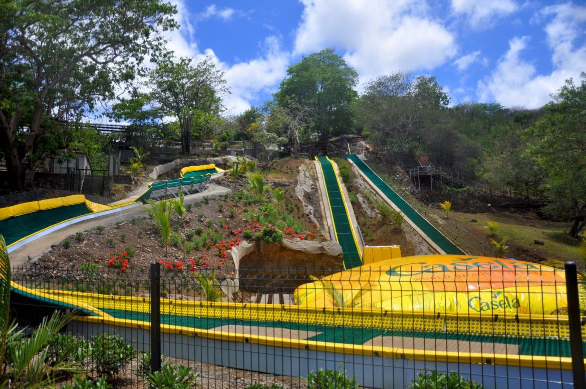rencontre avec les lions à casela
