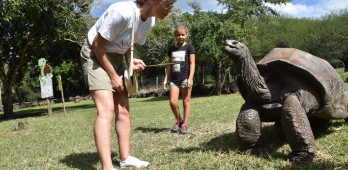 À la rencontre d'une tortue géante