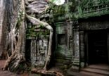 Le meilleur du Cambodge