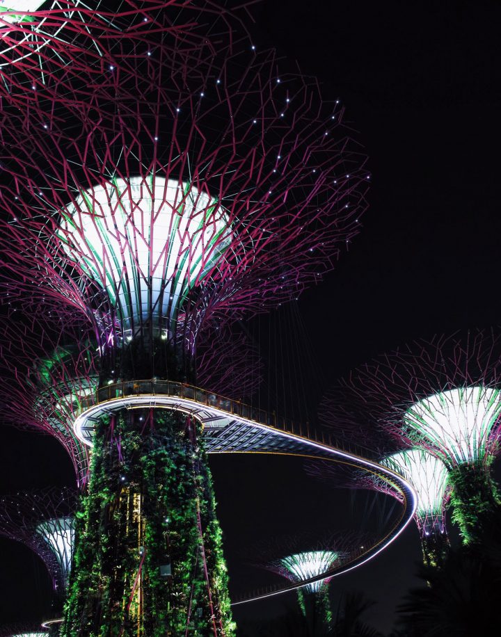 Un premier voyage à Singapour