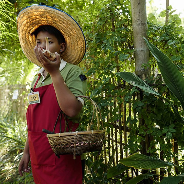 Cours de cuisine à Chiang Mai