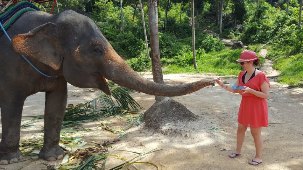 Adeline à la rencontre d'un éléphant d'Asie