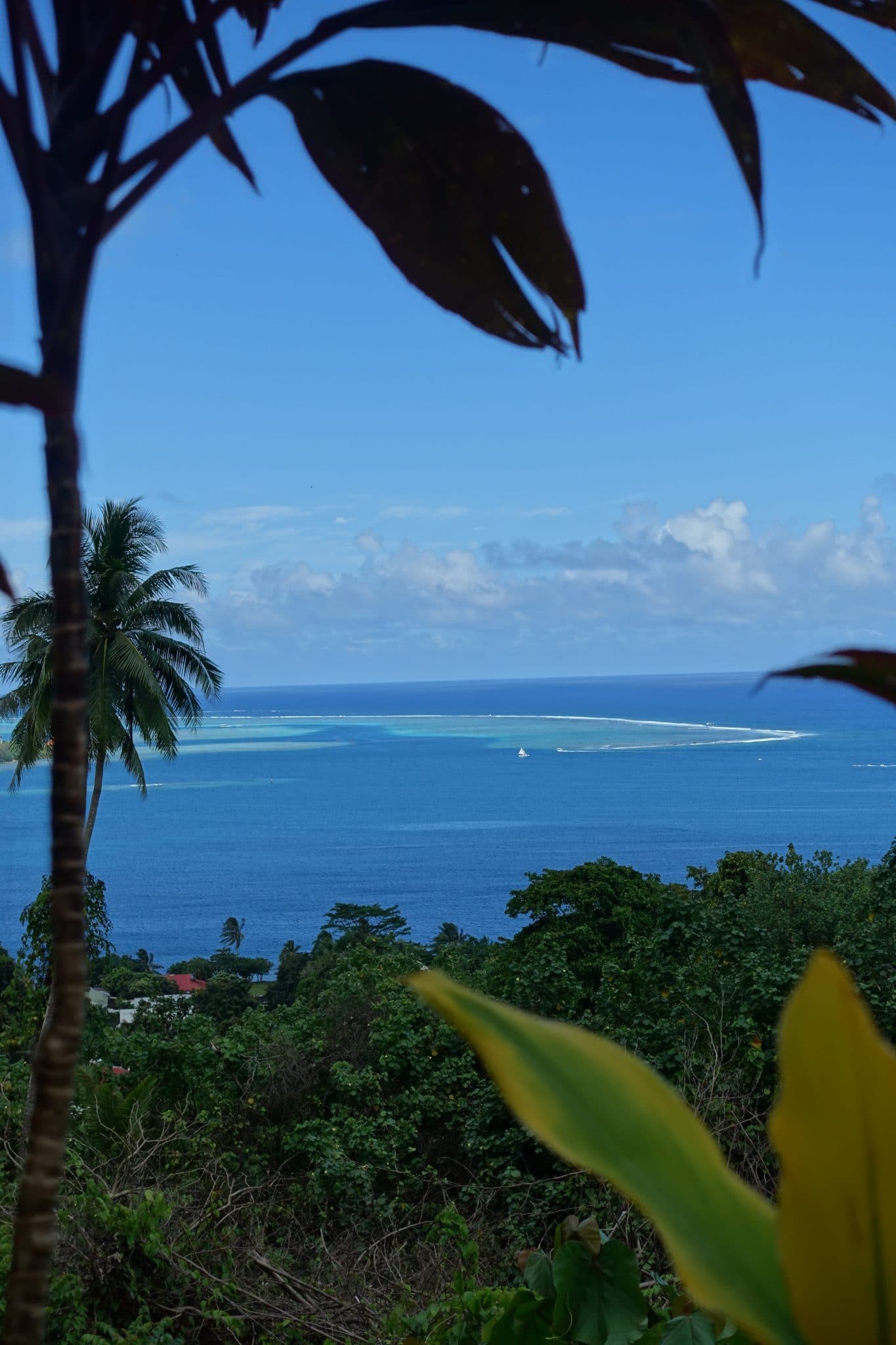 Moorea