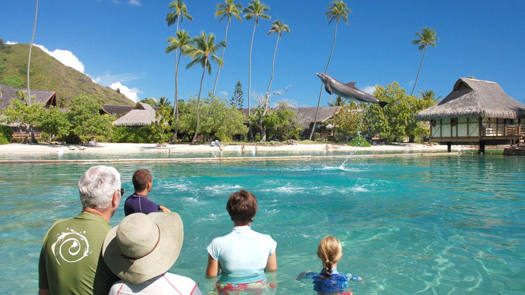 Moorea Dolphin Center