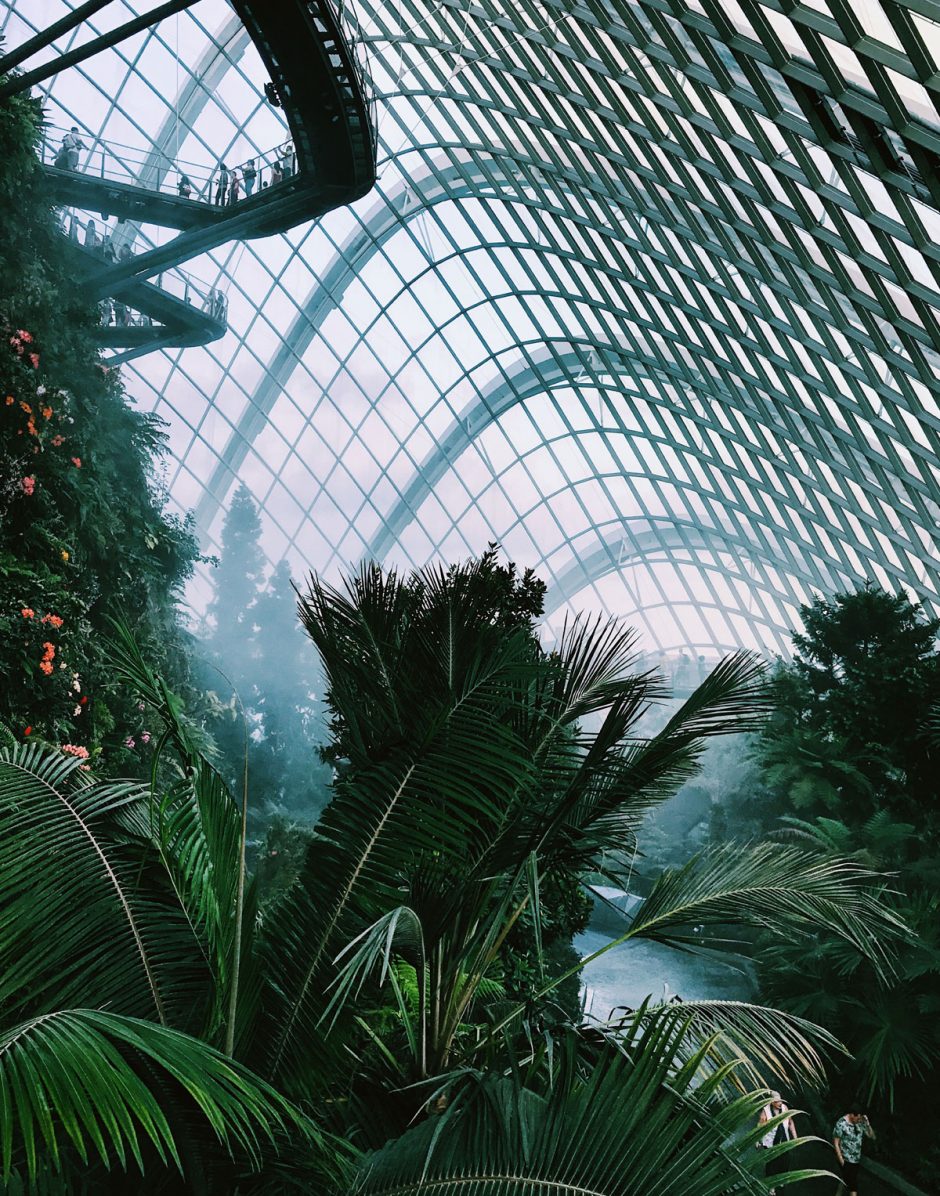 Singapour, havre de nature urbaine