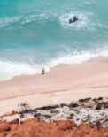 Beach Pine Cliff