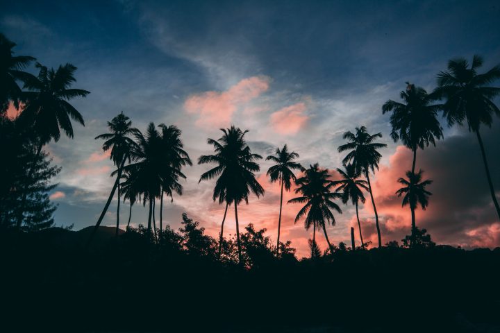 Seychelles, le guide des plus belles plages