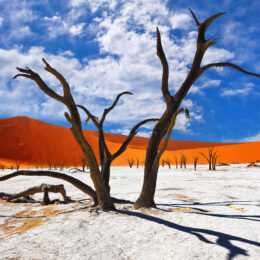 Voyage - Namibie