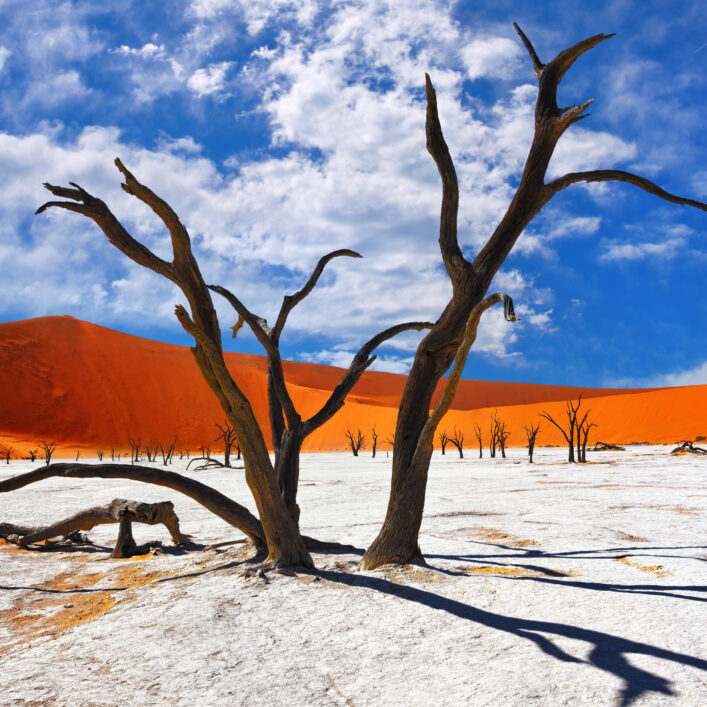 Deadvolei, Sasusvlei, Namibie