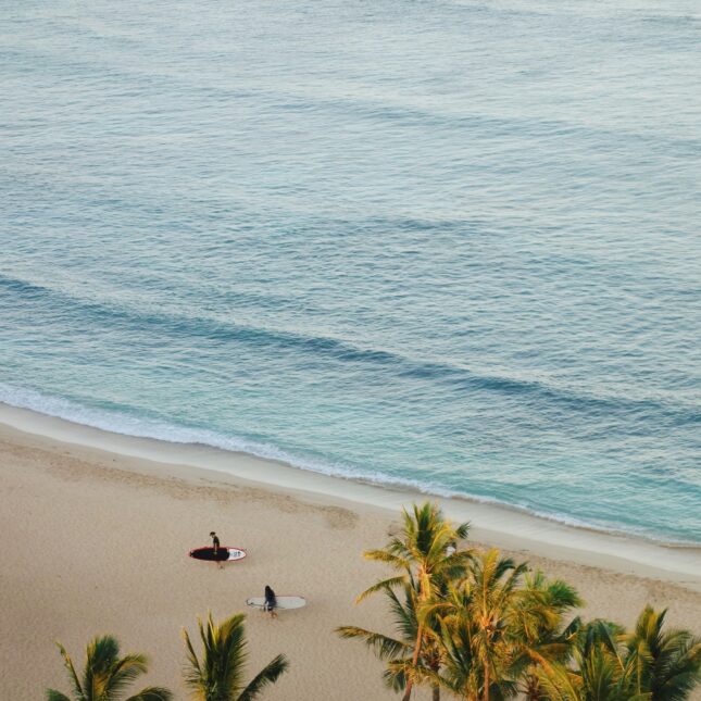 Hawaii VS Polynésie