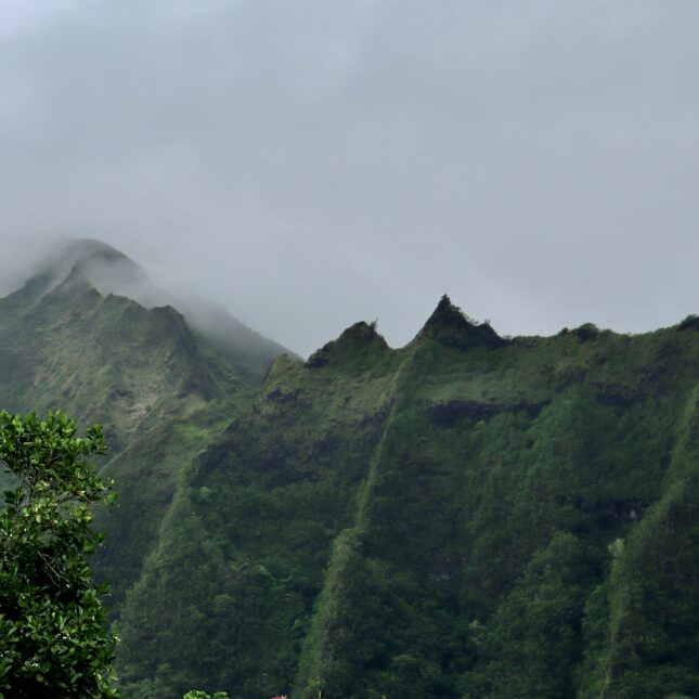 Hawaii VS Polynésie