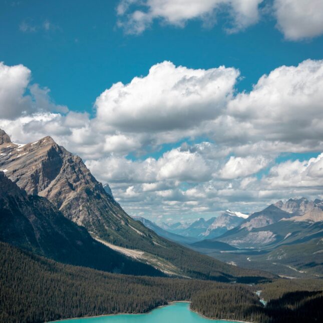 Peyto Lake, dans les Rocheuses canadiennes