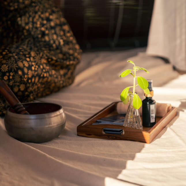Reiki île Maurice