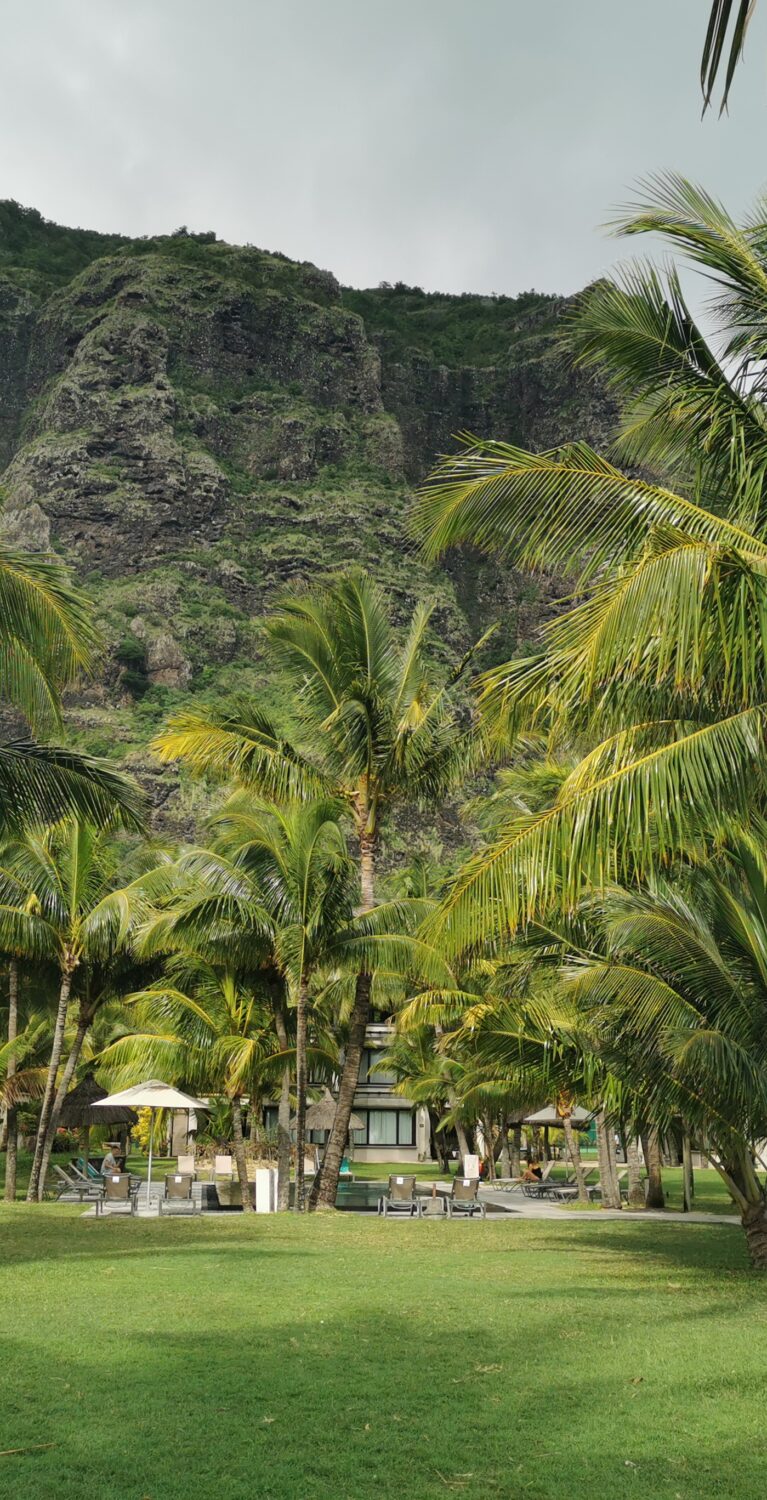 Retour d’expérience à l’île Maurice : nos conseillers en éductour