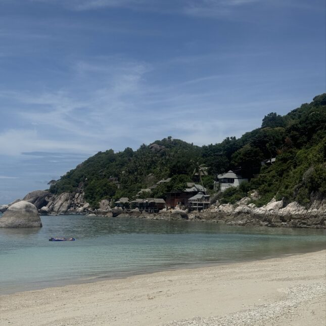 Shark Bay à Koh Tao