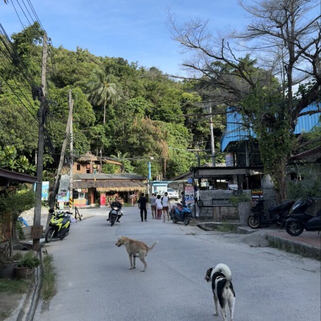 Village à Koh Phangan