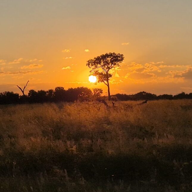 Coucher de soleil au Botswana