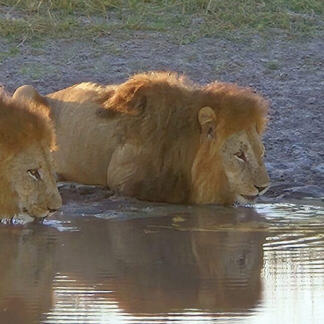 Botswana