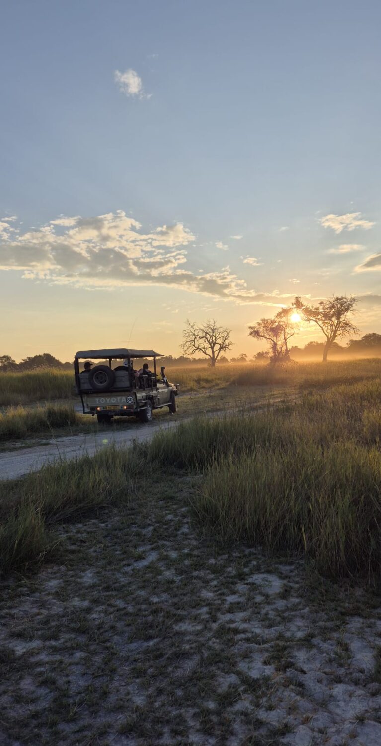 Retour d’expérience : 5 nuits de safari au Botswana, entre savane et delta