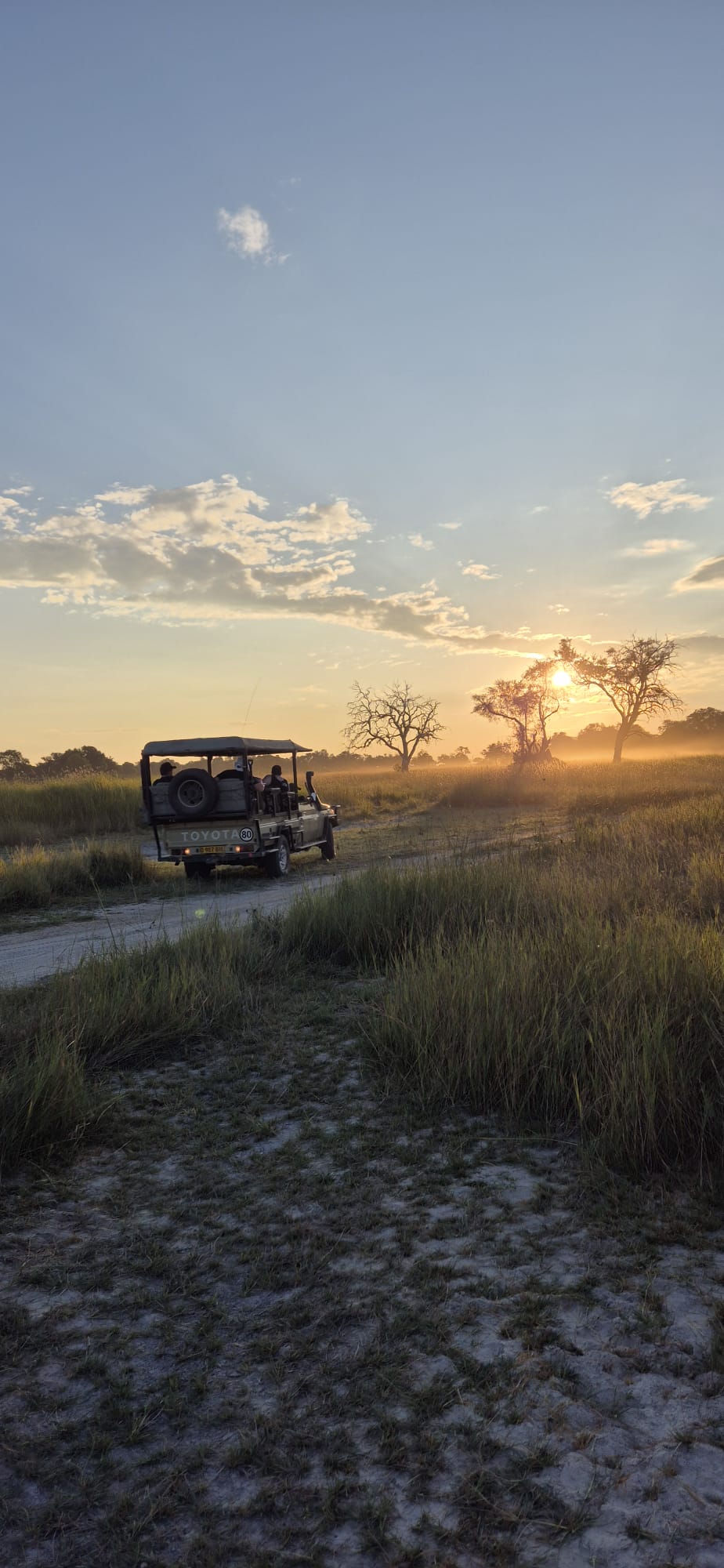 Retour d’expérience : 5 nuits de safari au Botswana, entre savane et delta