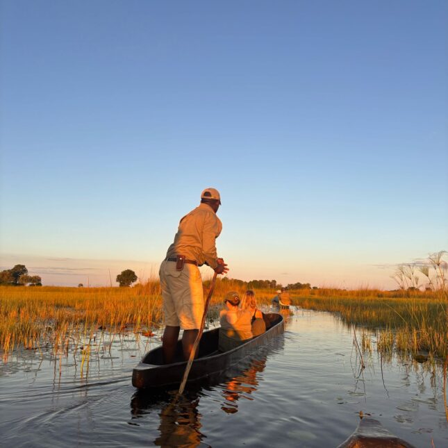 Balade en mokoro au Botswana