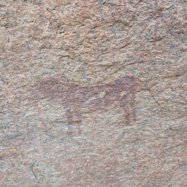 Peinture rupestre Namibie