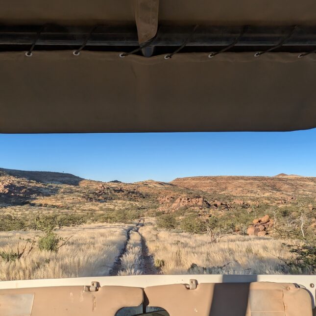 Safari Namibie