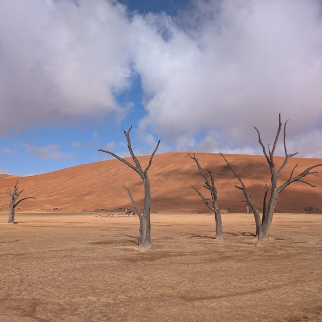 Deadvlei Namibie