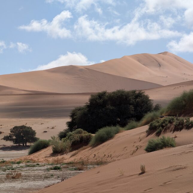 Dune Big Mama Namibie