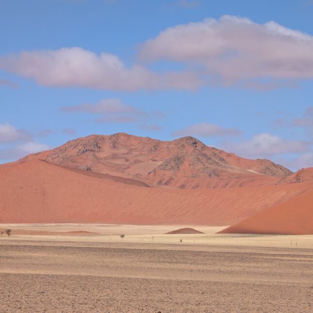 Les dunes du parc national Namibie