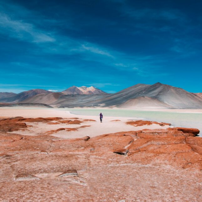 Désert d'Atacama