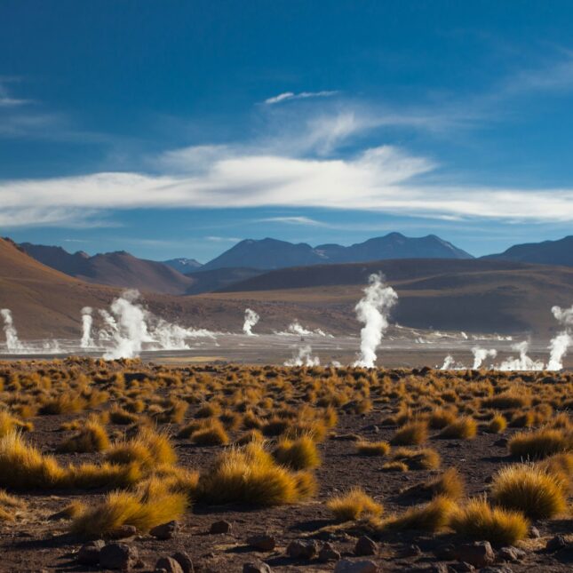 Fumerolles à Atacama