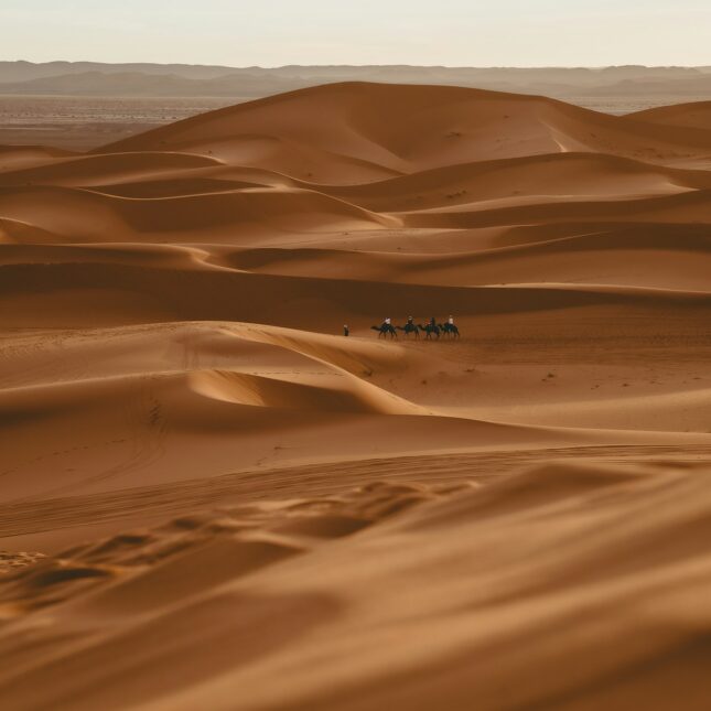 Le Sahara
