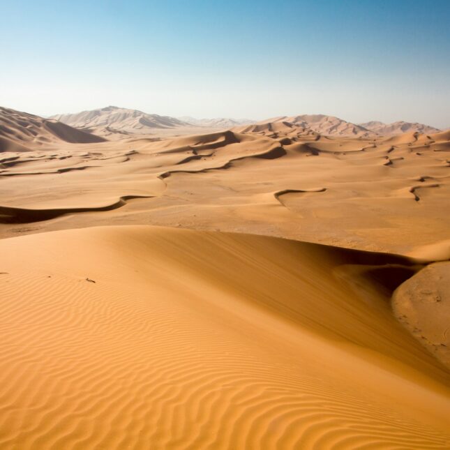 Les dunes du désert
