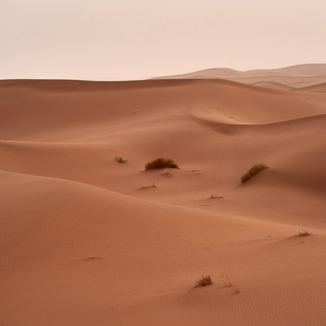 Le Sahara