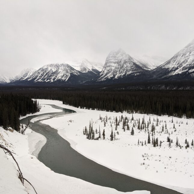 Route entre Jasper et Banff