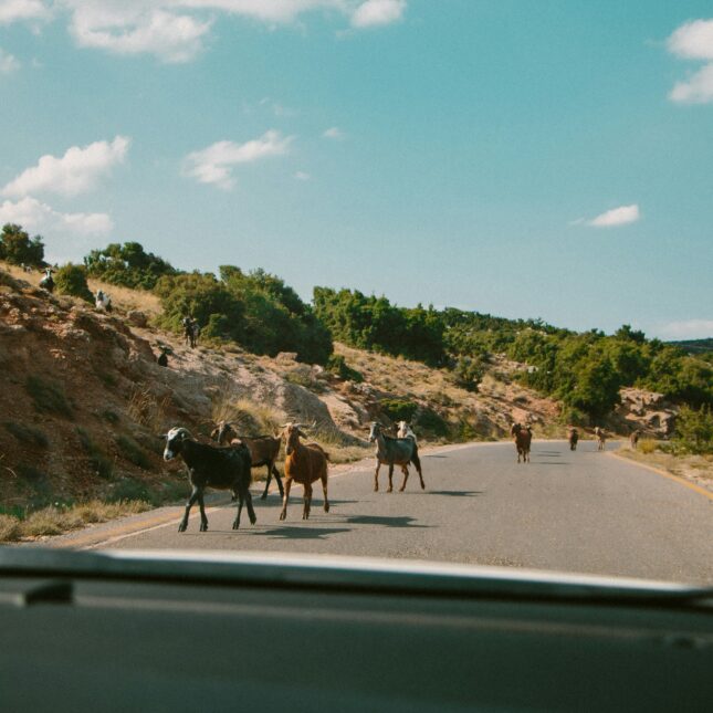 Roadtrip authentique en Grèce
