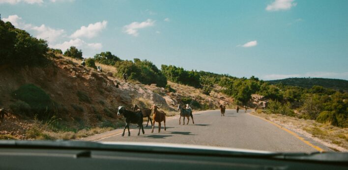 Roadtrip authentique en Grèce