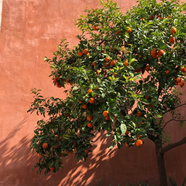 malaga espagne andalousie