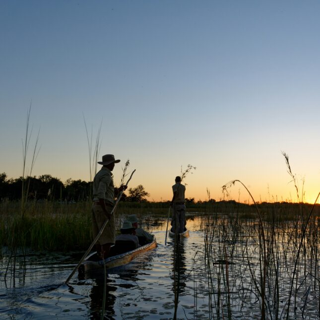 Un safari en mokoro au Botswana