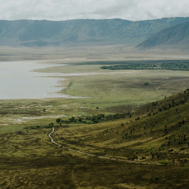 Le panorama exceptionnel du Ngorongoro