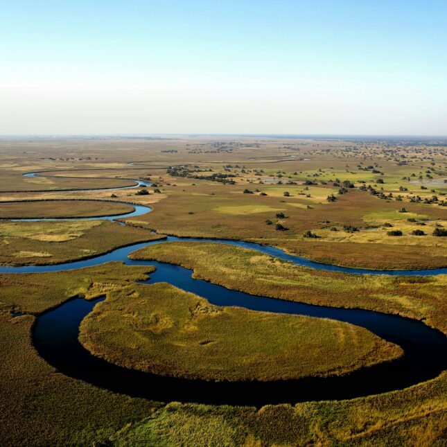 Le delta de l'Okavango