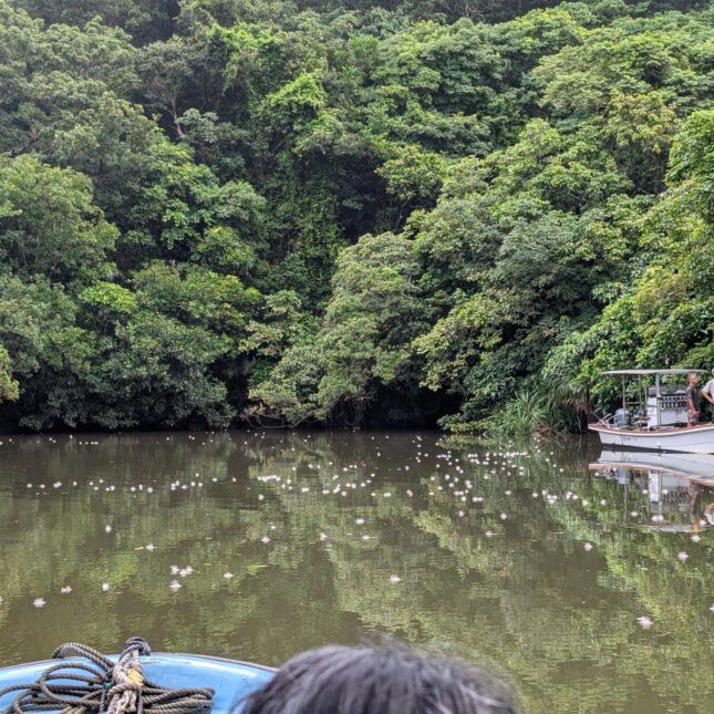 Excursion à Iriomote
