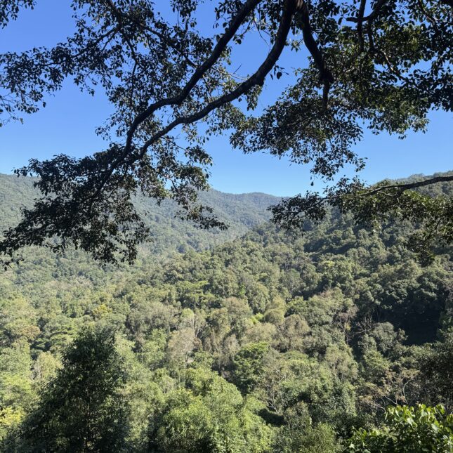 Les montagnes du nord