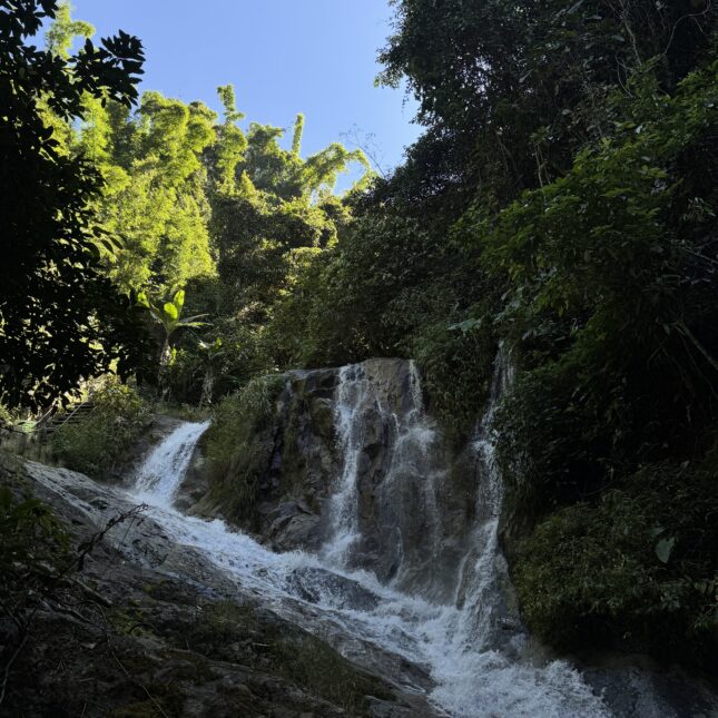 Randonnée pour voir les cascades dans le nord