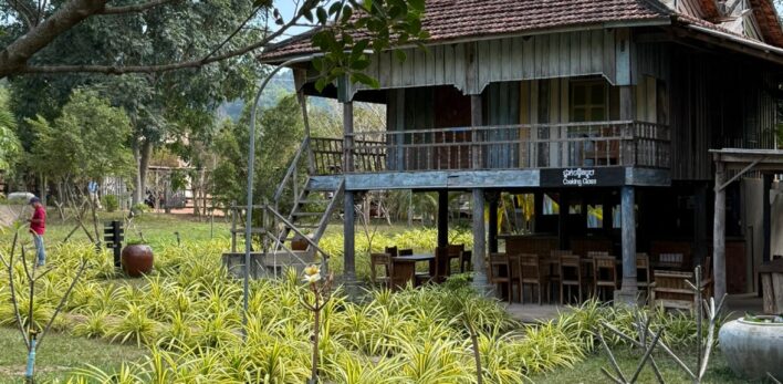 Plantations de poivre Cambodge