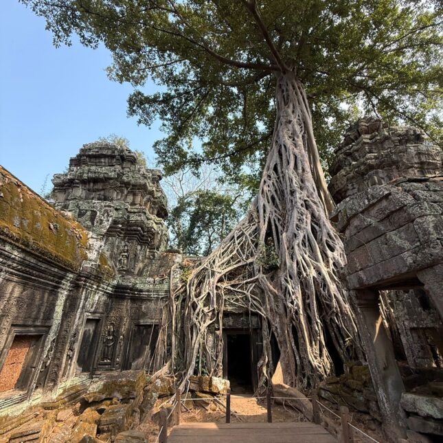 Temple de Ta Prohm