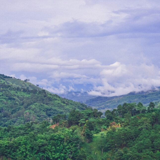 Les montagnes du nord de la Thaïlande