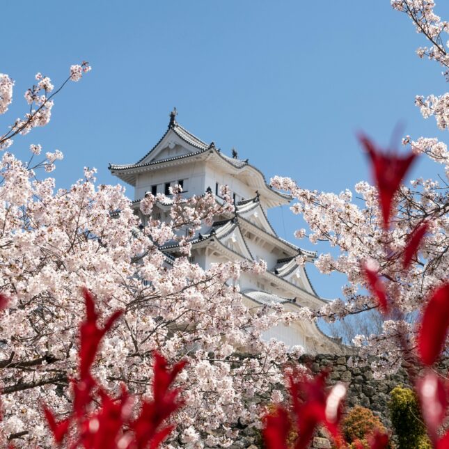 Où partir en avril au soleil